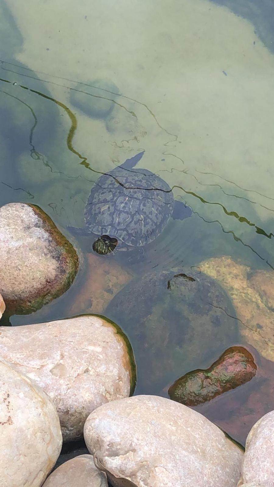 Pousada Vo Lica Com Piscina Penha  Zewnętrze zdjęcie